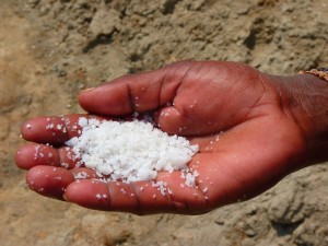 Salt of the earth